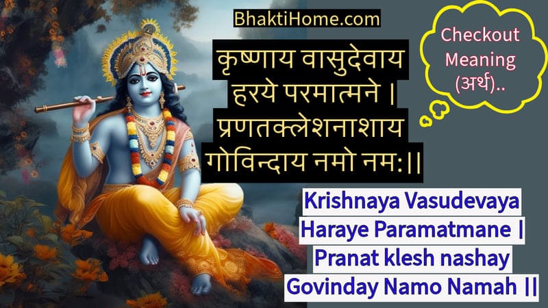 Om Krishnaya Vasudevaya Haraye Paramatmane