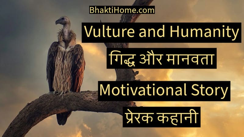 Vulture and Humanity